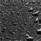 Close up of the black Blackstone 1529 cover fabric with water droplets beading on the surface