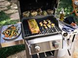 Weber Spirit II E-210 Propane Gas Grill Review view 1