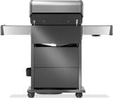 Rear view of the Rogue PRO-S 425 RSIB showing the dark back panels, gas fitting, lid hinge and condiment basket
