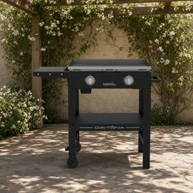 Nexgrill Daytona 28 inch gas griddle on a stone patio under a pergola, flat steel plate, two knobs, one side shelf