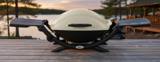 Weber Q 2000 Gas Grill Review view 1