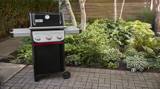 Weber Spirit E-325 on a paver patio beside a planted garden bed, lid closed and both side tables extended