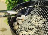 Weber Original Kettle Premium Charcoal Grill 22 Review view 2