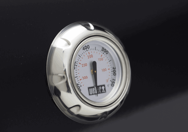Weber Spirit E330 Review